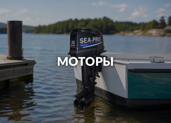 Моторы